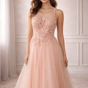 Anny Lee Blush Pink Beaded Tulle Ball Gown Dress NWT